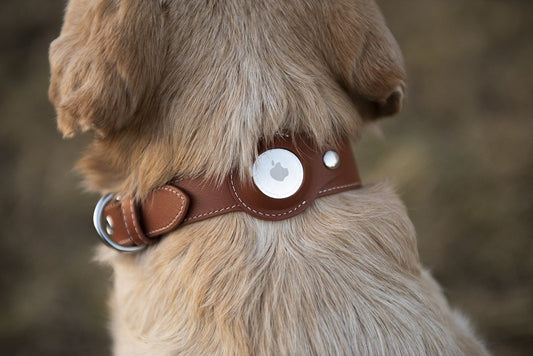 Personalized Premium Leather Airtag Dog Collar by Nine Twenty Eight™ Nine Twenty Eight